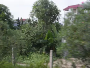 Bức ảnh chụp một khung cảnh làng quê hoặc khu dân cư ở ngoại ô, có lẽ được chụp từ một phương tiện đang di chuyển nên hình ảnh hơi bị nhòe. Cảnh vật chủ yếu là cây cối xanh tươi và rậm rạp, trong đó có thể nhận ra các cây chuối với tàu lá lớn. Phía sau lùm cây là một ngôi nhà nhiều tầng, có tường trắng và mái ngói màu đỏ. Ở tiền cảnh, có các cọc bê tông dường như là một phần của hàng rào. Bầu trời có vẻ u ám. Không có người hay hoạt động cụ thể nào được ghi lại. Không có bất kỳ văn bản hay biển báo nào trong ảnh.。（日本語訳）。写真には田舎の村、あるいは郊外の住宅地の風景が写っており、おそらく移動中の乗り物から撮影されたため、画像は少しぼやけている。風景は主に青々とした生い茂る木々であり、その中には大きな葉を持つバナナの木が見て取れる。木々の後ろには、白い壁と赤い瓦屋根の多層階の家がある。前景には、柵の一部と思われるコンクリートの杭がある。空は曇っているようだ。人物や特定の活動は記録されていない。写真にはいかなる文字や看板もない。