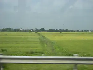 Bức ảnh ghi lại một khung cảnh vùng nông thôn đặc trưng của Việt Nam. Trọng tâm của bức ảnh là một cánh đồng lúa rộng lớn, trải dài ngút tầm mắt. Lúa trên đồng có màu xanh xen lẫn màu vàng, cho thấy lúa đang trong giai đoạn chín. Một bờ ruộng nhỏ chạy thẳng, chia cắt cánh đồng. Trên ruộng có thể thấy một vài con chim trắng, có khả năng là cò, đang kiếm ăn. Ở phía xa, phía sau cánh đồng là một ngôi làng với những rặng cây xanh và những ngôi nhà mái ngói. Bầu trời u ám và đầy mây. Ở phía trước, có một phần của lan can đường bị mờ đi, cho thấy bức ảnh được chụp từ một phương tiện đang di chuyển, chẳng hạn như ô tô hoặc tàu hỏa. Không có bất kỳ văn bản hay biển hiệu nào có thể nhìn thấy trong ảnh.。（日本語訳）。写真はベトナムの典型的な田園風景を捉えています。写真の中心は、見渡す限り広がる広大な水田です。田んぼの稲は緑色と黄色が混ざっており、稲が熟している段階であることを示しています。小さな畦道がまっすぐに走り、田んぼを分断しています。田んぼの上には、餌を探している数羽の白い鳥、おそらくサギが見られます。遠く、田んぼの後ろには、緑の木々と瓦屋根の家々がある村があります。空はどんよりと曇っています。手前には、道路のガードレールの一部がぼやけており、写真が自動車や電車などの移動中の乗り物から撮影されたことを示唆しています。