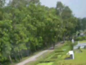 Hình ảnh bị mờ, cho thấy một khung cảnh nông thôn. Phía bên trái có một con đường nhỏ chạy dọc theo hàng cây xanh. Phía bên phải là một khu vực cỏ, nơi có một vài công trình màu trắng, trông giống như những ngôi mộ trong một nghĩa trang. Không có người hoặc hoạt động nào rõ ràng trong ảnh. Không có chữ viết nào có thể nhận dạng được.。（日本語訳）。左側には、緑の木々の列に沿って走る小道があります。写真には、はっきりとした人物や活動は見られません。認識できる文字はありません。