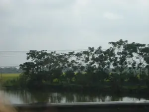 Bức ảnh chụp một khung cảnh nông thôn điển hình, có thể là ở khu vực Ninh Bình. Ở phía trước là một con sông hoặc kênh nước, mặt nước khá phẳng lặng. Dọc theo bờ sông là một hàng cây xanh rậm rạp. Phía sau hàng cây là một cánh đồng lúa xanh mướt trải dài. Ở phía xa có thể thấy các đường dây điện cao thế chạy ngang qua. Bầu trời u ám và đầy mây. Không có người hay hoạt động nào được ghi lại trong ảnh, chỉ có phong cảnh thiên nhiên yên tĩnh.。（日本語訳）。写真は典型的な田園風景を写しており、おそらくニンビン地方のものでしょう。手前には川か水路があり、水面はかなり穏やかです。川岸に沿って、緑豊かな木々が並んでいます。木々の後ろには、青々とした水田が広がっています。遠くには、高圧電線が横切っているのが見えます。空はどんよりと曇っています。写真には人や活動は記録されておらず、静かな自然の風景だけがあります。
