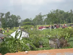 Bức ảnh chụp một khung cảnh nông thôn ở Việt Nam, có thể là ở khu vực Ninh Bình. Nổi bật trong ảnh là một khu nghĩa trang với nhiều ngôi mộ được xây dựng theo kiểu truyền thống, nằm giữa một cánh đồng lúa. Lúa trên đồng đang ngả sang màu vàng, cho thấy sắp đến mùa thu hoạch. Một số ngôi mộ được sơn màu đỏ và trắng. Xen kẽ trong khung cảnh là những ngôi nhà dân, với một ngôi nhà tường trắng, mái ngói ở phía trước. Cây cối xanh tốt, đặc biệt là những rặng chuối ở tiền cảnh. Bầu trời u ám. Không có hoạt động cụ thể nào của con người được ghi lại, chỉ có cảnh vật tĩnh lặng. Không có chữ viết nào có thể đọc được trên các ngôi mộ hay bất kỳ vật thể nào khác.。（日本語訳）。この写真はベトナムの田園風景を撮影したもので、おそらくニンビン地方のものでしょう。写真の中で際立っているのは、伝統的な様式で建てられた多くの墓がある墓地で、田んぼの真ん中に位置しています。田んぼの稲は黄色く色づき始めており、収穫の時期が近いことを示しています。いくつかの墓は赤と白に塗られています。風景に点在しているのは民家で、手前には白い壁と瓦屋根の家があります。木々は青々と茂っており、特に前景のバナナの木々が目立ちます。空は曇っています。特定の人間の活動は記録されておらず、静かな風景だけがあります。墓やその他のいかなる物の上にも、読み取れる文字はありません。