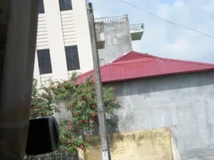 Bức ảnh chụp một khung cảnh đường phố hoặc khu dân cư. Nổi bật là một tòa nhà nhiều tầng hiện đại, sơn màu trắng với các cửa sổ tối màu. Phía trước tòa nhà này là một ngôi nhà có tường bê tông và mái lợp tôn màu đỏ. Giữa khung hình là một cột điện bê tông có dây điện giăng qua. Phía trước bức tường bê tông có một bụi cây xanh tốt đang nở nhiều hoa màu đỏ rực rỡ. Ở phía dưới, có một mảng tường màu vàng đã cũ, trên đó dường như có chữ viết nhưng đã bị mờ và không thể đọc được. Trên cột điện cũng có dán một mảnh giấy ghi số nhưng không rõ ràng. Không có người hay hoạt động nào được ghi lại, chỉ là một cảnh quan kiến trúc và cây cối.。（日本語訳）。写真は、街の通りまたは住宅地の風景を撮影したものです。目立っているのは、白い塗装と暗い色の窓を持つ近代的な高層ビルです。このビルの手前には、コンクリートの壁と赤いトタン屋根の家があります。フレームの中央には、電線が張られたコンクリートの電柱があります。コンクリートの壁の前には、鮮やかな赤い花をたくさん咲かせている青々とした茂みがあります。下の方には、古くなった黄色い壁の一部があり、そこには文字が書かれているようですが、薄れていて読むことはできません。電柱にも数字が書かれた紙が貼られていますが、はっきりとは見えません。人や活動は記録されておらず、ただ建築物と植物の風景が写っているだけです。