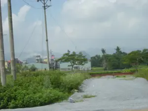 Bức ảnh chụp một khung cảnh nông thôn ở Việt Nam, có khả năng là tại khu vực Ninh Bình. Ở tiền cảnh là một con đường đất rải sỏi. Hai bên đường là cây cỏ và bụi rậm mọc um tùm. Trong ảnh có nhiều cột điện bê tông và dây điện. Ở phía sau là một vài ngôi nhà, cây cối xanh tươi, và xa hơn nữa là dãy núi đá vôi đặc trưng ẩn hiện trong sương mờ dưới bầu trời có mây. Không có người hay hoạt động nào được ghi lại. Không có bất kỳ văn bản hay biển báo nào có thể đọc được trong ảnh.。（日本語訳）。この写真はベトナムの田舎の風景を撮影したもので、おそらくニンビン地方のものでしょう。前景には砂利が敷かれた未舗装の道があります。道の両側には草木や茂みが鬱蒼と生い茂っています。後方には数軒の家、青々とした木々があり、さらにその奥には、曇り空の下、特徴的な石灰岩の山脈が霞の中にぼんやりと見えています。人や活動は記録されていません。写真の中には読み取れる文字や看板は一切ありません。