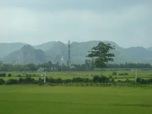 Không có thông tin văn bản nào trong hình ảnh. Hình ảnh ghi lại một khung cảnh nông thôn yên bình, có khả năng là ở khu vực Ninh Bình. Toàn cảnh là một cánh đồng lúa xanh rộng lớn. Ở phía xa, có một dãy núi đá vôi hùng vĩ, một đặc điểm địa hình quen thuộc của vùng này. Xen kẽ giữa cánh đồng và chân núi là một vài ngôi nhà, cây cối, một cột điện cao thế bằng kim loại và các cột điện nhỏ hơn. Rải rác trên cánh đồng có một vài cấu trúc nhỏ màu trắng, có thể là những ngôi mộ. Bầu trời u ám và nhiều mây. Không có hoạt động rõ ràng nào của con người được ghi lại, nhưng khung cảnh cho thấy đây là một vùng nông nghiệp chuyên canh tác lúa nước.。（日本語訳）。画像にはテキスト情報はありません。画像は、おそらくニンビン地方の、のどかな田園風景を捉えています。全景は広大な緑の田んぼです。遠方には、この地域特有の雄大な石灰岩の山脈があります。田んぼと山の麓の間には、数軒の家、木々、金属製の高圧電線の鉄塔、そしてより小さな電柱が点在しています。田んぼには、墓と思われるいくつかの小さな白い建造物が点在しています。空はどんよりとしており、雲が多いです。明確な人間の活動は記録されていませんが、この風景はここが水稲を専門とする農業地域であることを示しています。