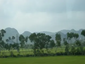 Không có thông tin chữ viết nào trong hình ảnh. Đây là một bức ảnh phong cảnh ở vùng nông thôn, có thể được chụp từ một phương tiện đang di chuyển. Ở tiền cảnh là một cánh đồng lúa xanh tươi đang trong giai đoạn phát triển. Dọc theo cánh đồng là một hàng cây cao. Phía sau hàng cây, có thể nhìn thấy một cột điện cao thế. Ở phía xa là dãy núi đá vôi trập trùng, đặc trưng cho địa hình của khu vực Ninh Bình. Bầu trời u ám và đầy mây.。（日本語訳）。画像には文字情報はありません。これは田舎の風景写真で、移動中の乗り物から撮影された可能性があります。前景には、成長段階にある青々とした水田が広がっています。田んぼに沿って、高い木々が並んでいます。木々の後ろには、高圧電線の鉄塔が見えます。遠くには、ニンビン地域の地形に特徴的な、起伏のある石灰岩の山々が連なっています。空はどんよりとしており、雲に覆われています。