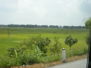 Bức ảnh chụp một khung cảnh nông thôn với một cánh đồng lúa rộng lớn, xanh mướt trải dài đến tận hàng cây ở phía xa. Lúa trên đồng có màu xanh, một số chỗ có màu xanh vàng, cho thấy lúa đang trong giai đoạn phát triển. Giữa cánh đồng có cắm một vài cột điện bằng gỗ. Ở phía trước, sát ven một con đường nhựa, là các bụi cây dại, một cây chuối và một cột mốc sơn trắng với đỉnh màu đỏ. Bầu trời u ám và có nhiều mây. Khung cảnh cho thấy đây là một vùng nông nghiệp chuyên trồng lúa.。（日本語訳）。写真は、遠くの木々の列まで広がる、広大で青々とした水田のある田舎の風景を写しています。田んぼの稲は緑色で、一部は黄緑色をしており、稲が成長段階にあることを示しています。田んぼの真ん中には、木製の電柱が数本立てられています。手前には、アスファルト道路のすぐ脇に、雑草の茂み、バナナの木一本、そして上部が赤く塗られた白い標柱があります。空はどんよりとしており、雲が多いです。この風景は、ここが稲作を専門とする農業地帯であることを示しています。