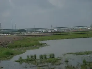 Bức ảnh ghi lại một khung cảnh kết hợp giữa nông thôn và công nghiệp, có khả năng được chụp từ một phương tiện đang di chuyển. Ở tiền cảnh là một khu vực mặt nước, có thể là ao hoặc một phần của cánh đồng ngập nước, với cỏ và thực vật thủy sinh mọc xung quanh. Ở phía sau, có thể thấy một khu công nghiệp hoặc nhà xưởng lớn với các tòa nhà có mái màu xanh lá cây. Nhiều cột điện cao thế, đường dây điện và một cột ăng-ten cũng hiện diện ở phía xa, dưới bầu trời u ám. Không có người hay hoạt động nào rõ ràng đang diễn ra. Không có bất kỳ văn bản nào có thể đọc được trong ảnh.。（日本語訳）。写真は、田園風景と工業風景が融合した光景を記録しており、移動中の乗り物から撮影された可能性があります。前景には水域があり、池か水田の一部である可能性があり、その周りには草や水生植物が生えています。後方には、緑色の屋根を持つ建物がある工業団地または大きな工場が見えます。多くの高圧電線の鉄塔、電線、そしてアンテナ塔も遠くに、曇り空の下に存在しています。明確な人物や活動は見られません。写真には読み取れる文字はありません。