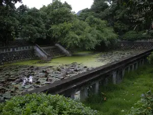 Cảnh quan cho thấy một hồ nước nhân tạo, có thể là một phần của một khu di tích hoặc công viên ở Ninh Bình. Hồ nước có hình chữ nhật, được bao quanh bởi những bức tường xây bằng đá và bê tông. Ở phía xa, có một cầu thang bê tông dẫn xuống mặt nước. Một lối đi thấp bằng bê tông chạy dọc theo một bên của hồ. Mặt hồ được bao phủ bởi một lớp bèo tấm màu xanh lục và rất nhiều lá súng. Có thể thấy những bông hoa súng màu hồng đang nở rải rác trên mặt nước. Xung quanh hồ là cây cối um tùm, với những cây lớn ở hậu cảnh và cỏ cùng các bụi cây nhỏ ở tiền cảnh. Khung cảnh tĩnh lặng, không có sự hiện diện của con người hay hoạt động nào đang diễn ra.。（日本語訳）。風景は、ニンビン省にある史跡または公園の一部である可能性のある、人工の湖を示しています。湖は長方形で、石とコンクリートで造られた壁に囲まれています。遠くには、水面へと続くコンクリートの階段があります。湖の片側に沿って、低いコンクリートの通路が走っています。湖面は緑色のウキクサの層と、たくさんのスイレンの葉で覆われています。水面にはピンク色のスイレンの花が点々と咲いているのが見えます。湖の周りは木々が鬱蒼としており、背景に大きな木々、前景に草や小さな茂みがあります。風景は静かで、人の気配や、行われている活動はありません。