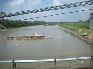 Đây là một khung cảnh nông thôn điển hình, có khả năng ở khu vực Ninh Bình. Bức ảnh chụp một cái ao lớn được sử dụng để chăn nuôi gia cầm, cụ thể là nuôi vịt. Một đàn vịt, bao gồm cả vịt trắng và vịt màu sẫm, đang bơi lội trên mặt nước. Khu vực ao được rào lại bằng lưới để giữ đàn vịt. Ở giữa ao có một gò đất nhỏ. Bên cạnh ao là một cánh đồng lúa xanh tươi. Phía xa là những hàng cây rậm rạp và một ngọn núi đá vôi thấp. Bầu trời trong xanh, có mây trắng và nhiều đường dây điện chạy ngang qua phía trên. Ở tiền cảnh có một lan can bằng kim loại, cho thấy bức ảnh có thể được chụp từ một phương tiện đang di chuyển trên đường hoặc trên cầu. Không có chữ viết nào trong ảnh.。（日本語訳）。これは典型的な田園風景で、おそらくニンビン地方のものでしょう。白いアヒルと黒っぽいアヒルを含むアヒルの群れが水面を泳いでいます。池の周りは、アヒルの群れを囲っておくために網で柵がされています。池の中央には小さな土の盛り上がりがあります。池の隣には青々とした水田が広がっています。遠くには鬱蒼とした木々の列と、低い石灰岩の山が見えます。空は青く澄み渡り、白い雲が浮かび、上部には多くの電線が横切っています。前景には金属製の手すりがあり、写真が道路や橋の上を移動中の乗り物から撮影された可能性を示唆しています。写真の中に文字はありません。