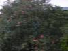 200809__/DSCN0631.JPG 143KB 