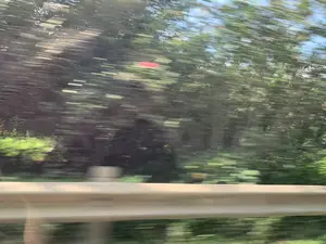 Bức ảnh bị mờ do chuyển động, được chụp từ bên trong một phương tiện đang di chuyển, có thể là ô tô. Ở phía trước là một dải lan can đường màu sáng. Phía sau lan can là một khung cảnh ven đường với rất nhiều cây cối xanh rậm rạp. Toàn bộ khung cảnh bị nhòe theo chiều ngang, cho thấy tốc độ di chuyển nhanh của phương tiện. Không có chữ viết hay hoạt động cụ thể nào có thể được nhận dạng rõ ràng.。（日本語訳）。写真はモーションブラーでぼやけており、移動中の乗り物、おそらくは車の中から撮影されたものです。手前には明るい色のガードレールがあります。ガードレールの後ろには、緑豊かな木々が生い茂る道端の風景が広がっています。風景全体が水平方向にぶれており、乗り物が高速で移動していることを示しています。文字や特定の活動は、はっきりと識別できません。