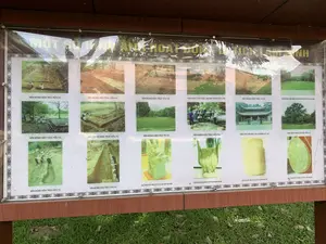 MỘT SỐ HÌNH ẢNH HOẠT ĐỘNG TẠI KHU DI TÍCH LAM KINH（ラムキン遺跡地区での活動のいくつかの写真）。Khai quật khảo cổ học tại nền điện Lam Kinh.（ラムキン殿の基礎における考古学発掘。）。Khai quật khảo cổ học tại khu sân Rồng.（龍の庭地区における考古学発掘。）。Khai quật khảo cổ học tại nền điện Quang Đức.（光徳殿の基礎における考古学発掘。）。Khai quật khảo cổ học tại nền điện Sùng Hiếu.（崇孝殿の基礎における考古学発掘。）。Khai quật khảo cổ học tại nền điện Diên Khánh.（延慶殿の基礎における考古学発掘。）。Phục dựng, tôn tạo khu Thái miếu.（太廟地区の復元・修復。）。Toàn cảnh khu di tích nhìn từ núi Dầu.（油山から見た遺跡地区の全景。）。Khai quật khảo cổ học tại sân Rồng.（龍の庭における考古学発掘。）。Phục dựng lại không gian cây xanh tại khu di tích.（遺跡地区の緑地空間の復元。）。Hoạt động trồng cây tại khu di tích.（遺跡地区での植樹活動。）。Chính điện Lam Kinh.（ラムキン正殿。）。Cây đa thị nghìn năm tuổi.（千年のガジュマルと柿の木。）。Khai quật khảo cổ học tại nền điện Lam Kinh.（ラムキン殿の基礎における考古学発掘。）。Vết tích nền móng khai quật tại điện Lam Kinh.（ラムキン殿で発掘された基礎の痕跡。）。Mảnh ngói men ngọc.（玉色の釉薬瓦の破片。）。Mảnh ngói men ngọc.（玉色の釉薬瓦の破片。）。Gạch vồ thời Lê.（黎朝時代のレンガ。）。Mảnh ngói men ngọc.（玉色の釉薬瓦の破片。）