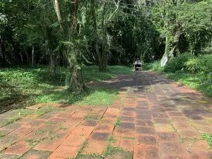 木々に囲まれた、赤レンガ敷きの参道