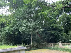 ラムキン遺跡内の風景