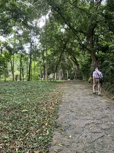 ラムキン遺跡の森の中にある、石畳の参道を歩く人物。周囲は緑豊かな木々に囲まれている
