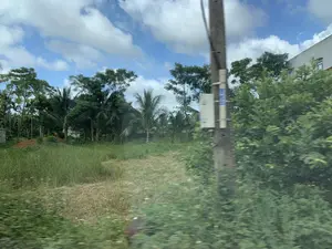 Bức ảnh chụp một khung cảnh vùng nông thôn, có thể được chụp từ một phương tiện đang di chuyển. Bầu trời trong xanh với những đám mây trắng, có thể thấy vài vệt trắng mờ do máy bay để lại. Ở phía trước là một bãi đất trống với cỏ dại mọc cao. Phía sau bãi đất là một hàng cây xanh rậm rạp, trong đó có thể nhận ra những cây dừa. Ở bên phải, có một cột điện bê tông bị mờ do chuyển động, trên cột có gắn một hộp thiết bị màu trắng và một nhãn dán nhưng không đọc được chữ. Phía sau lùm cây bên phải là một phần của một tòa nhà lớn màu trắng. Không có người hay hoạt động cụ thể nào được ghi lại trong ảnh.。（日本語訳）。写真は田舎の風景を写しており、移動中の乗り物から撮影された可能性があります。空は青く澄み渡り、白い雲が浮かんでいます。飛行機が残したと思われる、いくつかの薄い白い筋が見えます。手前には、雑草が高く生い茂る空き地があります。空き地の後ろには、緑豊かな木々が並んでおり、その中にはヤシの木が見分けられます。右側には、動きによってぼやけたコンクリートの電柱があり、その柱には白い装置の箱とステッカーが取り付けられていますが、文字は読み取れません。右側の木々の後ろには、大きな白い建物の一部が見えます。写真には、人物や特定の活動は記録されていません。
