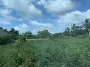 Bức ảnh chụp một khung cảnh nông thôn. Bầu trời trong xanh, có nhiều mây trắng. Ở tiền cảnh là một cánh đồng cỏ hoặc cây trồng thấp, xanh mướt, hình ảnh có phần mờ nhòe cho thấy có thể được chụp từ một phương tiện đang di chuyển. Phía sau cánh đồng là các loại cây cối rậm rạp đặc trưng của làng quê Việt Nam như cây chuối và cây dừa. Có một vài bức tường bê tông và cột điện ở phía xa. Không có người hay hoạt động cụ thể nào được ghi lại trong ảnh.。（日本語訳）。写真は田舎の風景を撮ったものです。空は青く澄んでおり、白い雲がたくさんあります。前景には、青々とした草原または背の低い作物の畑があり、画像が少しぼやけていることから、移動中の乗り物から撮影された可能性があることがわかります。畑の後ろには、バナナの木やココナッツの木など、ベトナムの田舎に特徴的な木々が生い茂っています。遠くには、いくつかのコンクリートの壁と電柱があります。写真には、人や特定の活動は記録されていません。