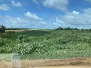 Bức ảnh chụp một khung cảnh nông thôn, có thể là ở khu vực Nga Sơn, vào một ngày trời trong và có mây. Cảnh vật chủ yếu là một cánh đồng nông nghiệp rộng lớn, trồng một loại cây thân cao màu xanh đậm, rất có thể là cây cói, một loại cây trồng phổ biến ở vùng này. Chạy dọc theo cánh đồng là một con đường đất. Ở phía bên trái của con đường, có một chiếc xe tải ben đang đỗ. Cây cối và bụi rậm mọc ở tiền cảnh và rải rác xung quanh. Ở phía xa, có thể thấy các cột điện, đường dây điện và bóng dáng mờ của những ngọn núi. Bức ảnh dường như được chụp từ một phương tiện đang di chuyển.。（日本語訳）。この写真は、おそらくガーソン地区の田園風景を、晴れて雲のある日に撮影したものです。主な風景は広大な農地で、そこには背の高い濃い緑色の植物が植えられています。これは、この地域でよく栽培されている植物であるイグサである可能性が非常に高いです。畑に沿って未舗装の道が走っています。道の左側には、ダンプカーが1台停まっています。前景や周囲には木々や茂みが点在しています。遠くには、電柱、電線、そして山々のぼんやりとした影が見えます。この写真は、移動中の乗り物から撮影されたようです。