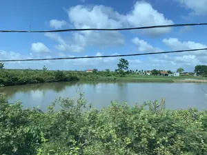 Bức ảnh chụp một khung cảnh nông thôn với một cái ao lớn ở trung tâm, có khả năng được sử dụng để nuôi trồng thủy sản. Bờ ao được bao quanh bởi cây cỏ và bụi rậm xanh tốt. Ở phía xa, có thể nhìn thấy một vài ngôi nhà dân với mái ngói đỏ và tường trắng nằm rải rác giữa những lùm cây. Bầu trời trong xanh, có nhiều mây trắng. Vắt ngang qua phần trên của bức ảnh là những đường dây điện màu đen. Không có người hay hoạt động cụ thể nào được ghi lại. Không có bất kỳ văn bản hay chữ viết nào có thể đọc được trong ảnh.。（日本語訳）。写真は、中央に大きな池がある田園風景を写しており、養殖に使われている可能性がある。池の岸は、青々と茂る草木や低木に囲まれている。空は青く澄んでおり、白い雲が多く浮かんでいる。写真の上部を横切っているのは、黒い電線である。人や特定の活動は記録されていない。写真の中には、読み取れるテキストや文字は一切ない。