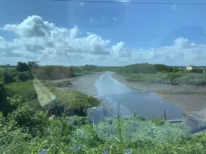 Bức ảnh chụp một cảnh quan ven biển, có một con sông hoặc lạch nước nhỏ uốn lượn. Mực nước đang ở mức thấp, để lộ ra các bãi bùn ở hai bên bờ. Thảm thực vật chủ yếu là các loại cây bụi và cây ngập mặn mọc rậm rạp. Bầu trời trong xanh với nhiều mây trắng. Ở phía trước bên trái, có một biển báo màu trắng với dòng chữ màu đỏ ghi 'KHU VỰC CẤM'. Phía dưới bên phải có một phần của một công trình bê tông, có thể là một cây cầu. Không có người hay hoạt động nào được nhìn thấy rõ, nhưng biển báo cho thấy đây là một khu vực bị hạn chế.。（日本語訳）。写真は、蛇行する小さな川または小川がある沿岸の風景を写しています。水位は低く、両岸の干潟が露出しています。植生は主に、密生する低木やマングローブの木です。空は青く澄んでおり、白い雲が多く浮かんでいます。左手前には、「KHU VỰC CẤM」と赤い文字で書かれた白い標識があります。右下には、コンクリート構造物の一部があり、おそらく橋だと思われます。人や活動ははっきりと見えませんが、標識はこの場所が制限区域であることを示しています。