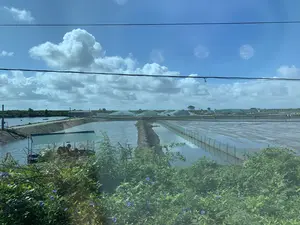 Bức ảnh chụp một khu vực nuôi trồng thủy sản rộng lớn, có thể là các đầm nuôi tôm hoặc cá. Cảnh quan bao gồm nhiều ao nước hình chữ nhật được ngăn cách bởi các bờ đất. Ở phía trước, có thể thấy một phần của một ao nước với máy móc, có thể là máy sục khí tạo oxy (quạt nước), và một mái che nhỏ lợp tôn. Phía xa là các ao khác, một số được che phủ bởi các cấu trúc nhà lưới hoặc nhà bạt lớn. Bầu trời trong xanh với nhiều mây trắng. Có các đường dây điện chạy ngang qua phía trên của ảnh. Phía trước là các bụi cây xanh và hoa dại màu tím. Không có hoạt động cụ thể của con người nào được nhìn thấy, nhưng toàn bộ khung cảnh cho thấy đây là một cơ sở nuôi trồng thủy sản đang hoạt động. Không có văn bản hay chữ viết nào có thể đọc được trong ảnh.。（日本語訳）。写真は広大な水産養殖地域を写しており、エビまたは魚の養殖池である可能性があります。風景には、土手で隔てられた多くの長方形の池が含まれています。手前には、機械のある池の一部が見えます。それは酸素供給用の曝気装置（水車）である可能性があり、またトタンで覆われた小さな屋根もあります。遠くには他の池があり、そのうちのいくつかは大きなネットハウスまたはタープ構造物で覆われています。空は青く澄んでおり、多くの白い雲が浮かんでいます。写真の上部を電線が横切っています。手前には緑の茂みと紫色の野花があります。特定の人間の活動は見られませんが、全体の光景はここが稼働中の水産養殖施設であることを示しています。写真の中には読み取れるテキストや文字はありません。