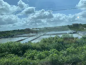 Bức ảnh chụp một khu vực nuôi trồng thủy sản, có thể là đầm nuôi tôm hoặc cá. Cảnh vật bao gồm nhiều ao, hồ lớn được lót bạt nhựa màu đen ở bờ. Nước trong ao có màu nâu đục. Ở phía trước là các bụi cây xanh rậm rạp. Phía xa có một vài ngôi nhà và các công trình có mái che, có thể là trang trại hoặc nhà kho. Hoạt động chính được thể hiện là nuôi trồng thủy sản. Bầu trời trong xanh, có nhiều mây trắng và các đường dây điện chạy ngang qua. Không có thông tin văn bản nào có thể nhận dạng được trong ảnh.。（日本語訳）。写真は、エビまたは魚の養殖池と思われる水産養殖地域を写しています。風景には、岸に黒いビニールシートが敷かれた多くの大きな池や湖が含まれています。池の水は濁った茶色です。手前には、緑の茂みが生い茂っています。遠くには、いくつかの家と、農場か倉庫と思われる屋根付きの建物があります。写し出されている主な活動は水産養殖です。空は青く澄んでおり、多くの白い雲と、横切る電線があります。写真の中には、識別できるテキスト情報はありません。