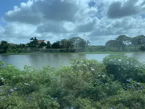 Bức ảnh chụp một khung cảnh ven sông ở vùng nông thôn. Ở phía trước là những bụi cây xanh um tùm, có lẫn vài bông hoa dại màu xanh tím, hình ảnh hơi mờ cho thấy có thể được chụp khi đang di chuyển. Ở giữa là một con sông rộng, mặt nước phẳng lặng. Bên kia bờ sông là một vài ngôi nhà mái ngói nằm xen kẽ giữa những lùm cây xanh. Bầu trời có nhiều mây nhưng vẫn có những khoảng trời xanh. Không có chữ viết hay hoạt động nào của con người được nhìn thấy trong ảnh.。（日本語訳）。写真は田舎の川沿いの風景を写したものです。手前には青々と生い茂る茂みがあり、青紫色の野花がいくつか混じっています。画像が少しぼやけていることから、移動中に撮影された可能性が示唆されます。中央には広い川があり、水面は穏やかです。川の対岸には、緑の木々の間に瓦屋根の家が数軒点在しています。写真には文字や人間の活動は見られません。