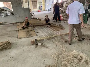 Bức ảnh chụp tại một không gian rộng lớn, giống như một xưởng sản xuất thủ công ở vùng nông thôn, có thể là một làng nghề dệt chiếu cói ở Nga Sơn. Nền nhà bằng xi măng. Hoạt động chính là hai người phụ nữ lớn tuổi đang ngồi trên sàn nhà để dệt chiếu thủ công. Một người phụ nữ đội khăn trùm đầu màu hồng có chữ 'AMERICAN'. Họ sử dụng một khung cửi dệt chiếu truyền thống, đơn sơ làm từ tre và gỗ, được cố định bằng gạch. Các sợi dọc (sợi đay) được căng sẵn trên khung, và hai người phụ nữ đang luồn các sợi ngang (sợi cói) để tạo thành tấm chiếu. Xung quanh họ là rất nhiều nguyên liệu, bao gồm các bó sợi cói khô và các cuộn sợi đay nằm trên sàn. Ở phía sau, có những đống cói khô lớn được chất cao. Ngoài hai người thợ dệt, còn có một vài người khác đang đứng quan sát. Trong khung cảnh còn có một chiếc xe đạp màu đỏ, các bao tải trắng và một phần của một ngôi nhà ở phía sau.。（日本語訳）。写真は広大な空間で撮影されたもので、田舎の手工芸工房のようであり、おそらくはガソン（Nga Sơn）のイグサマット織りの伝統工芸村だろう。床はセメント製である。主な活動は、2人の年配の女性が床に座って手作業でマットを織っていることである。一人の女性は「AMERICAN」という文字が入ったピンク色のヘッドスカーフをかぶっている。彼女たちは、竹と木で作られ、レンガで固定された、素朴な伝統的なマット織り機を使用している。縦糸（ジュート糸）は機に張られており、2人の女性は横糸（イグサ糸）を通し入れてマットを作っている。彼女たちの周りには、乾燥したイグサの束や床に置かれたジュート糸の巻物など、多くの材料がある。後方には、乾燥したイグサの大きな山が高く積まれている。2人の織り手の他に、数人が立って見学している。風景の中には、赤い自転車、白い袋、そして後方にある家の一部も写っている。