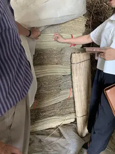 Bức ảnh chụp tại một nơi trông giống như nhà kho hoặc xưởng thủ công, có thể là một cơ sở sản xuất chiếu cói. Có hai người, một người đàn ông và một người phụ nữ, đang đứng cạnh những chồng chiếu cói lớn. Người đàn ông mặc áo sơ mi kẻ sọc và người phụ nữ mặc áo sơ mi trắng. Họ dường như đang kiểm tra chất lượng của các sản phẩm. Người phụ nữ đang dùng tay chạm vào một chồng chiếu, trong khi người đàn ông đang xem xét phần chiếu được che bởi một tấm bạt nhựa màu trắng. Các chiếc chiếu được làm từ sợi cói khô, được dệt và bó lại thành từng chồng hoặc cuộn tròn bằng dây nhựa. Bối cảnh cho thấy đây là một hoạt động liên quan đến nghề làm chiếu truyền thống, có thể là việc kiểm tra hàng hóa hoặc giao dịch mua bán.。（日本語訳）。写真は、倉庫か工房のような場所で撮影されたもので、い草のゴザの生産施設かもしれません。男性と女性の2人が、山積みになった大きない草のゴザのそばに立っています。男性はストライプのシャツを、女性は白いシャツを着ています。彼らは製品の品質を検査しているようです。女性はゴザの山に手で触れており、一方、男性は白いビニールシートで覆われたゴザの部分を調べています。ゴザは乾燥したい草の繊維から作られ、織られてから、プラスチックの紐で束ねられたり、丸められたりしています。この背景は、これが伝統的なゴザ作りの職業に関連する活動であり、商品の検査または売買取引である可能性を示しています。