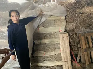 Bối cảnh trong ảnh là một nhà kho hoặc xưởng sản xuất, có vẻ là nơi lưu trữ sản phẩm thủ công. Một người phụ nữ mặc áo khoác màu xanh đậm đang đứng và vén một tấm bạt nilon lớn màu trắng. Hành động này để lộ ra một chồng chiếu cói lớn được xếp ngay ngắn phía sau. Các bó chiếu được buộc lại bằng dây nhựa màu đỏ. Bên cạnh chồng chiếu, ở phía bên phải, là một đống lớn sợi cói khô, nguyên liệu dùng để dệt chiếu, và một pallet gỗ. Ở góc dưới bên trái của bức ảnh, có hai bàn tay đang cầm và thao tác trên một chiếc điện thoại thông minh. Khung cảnh cho thấy hoạt động liên quan đến sản xuất hoặc buôn bán chiếu cói, một nghề thủ công truyền thống.。（日本語訳）。写真の背景は倉庫か作業場で、手工芸品を保管する場所のようです。濃い青色のジャケットを着た女性が立って、大きな白いビニールシートをめくっています。この行為により、その後ろにきれいに積み重ねられた、い草のござの大きな山が現れます。ござの束は赤いプラスチックの紐で縛られています。ござの山の隣、右側には、ござを織るための原料である乾燥したい草の繊維の大きな山と、木製パレットがあります。写真の左下隅には、スマートフォンを持って操作している両手があります。この光景は、伝統的な手仕事であるい草のござの生産または商売に関連する活動を示しています。