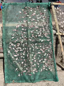 Hình ảnh cho thấy cảnh phơi mực khô tại một khu vực ven biển, có thể là một làng chài hoặc cảng cá. Rất nhiều con mực nhỏ được trải đều trên một tấm lưới lớn màu xanh lá cây, được căng trên một giàn phơi làm bằng gỗ. Bên cạnh đó là một giàn phơi khác cũng đang dùng để phơi mực. Bối cảnh phía sau là mặt nước, nơi có một vài chiếc tàu, ghe đánh cá đang neo đậu. Đây là một công đoạn trong quá trình chế biến hải sản truyền thống.。（日本語訳）。写真は、ある沿岸地域で干しイカを作っている光景を示しており、そこは漁村か漁港である可能性があります。非常に多くの小さなイカが、木製の干し棚の上に張られた大きな緑色の網の上に均等に広げられています。その隣には、同じくイカを干すために使われている別の干し棚があります。背景は水面で、そこには数隻の船や漁船が停泊しています。これは、伝統的な海産物加工の過程における一つの工程です。