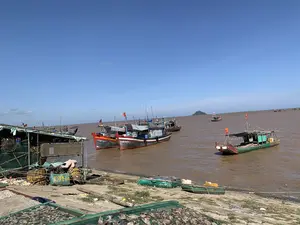 Đây là khung cảnh tại một cảng cá hoặc làng chài ven biển vào một ngày nắng đẹp. Bầu trời trong xanh, quang đãng.。Trên mặt nước màu nâu phù sa, có rất nhiều tàu thuyền đánh cá (tàu/ghe) đang neo đậu. Một số tàu lớn đậu san sát nhau gần bờ, trong khi những chiếc khác nằm rải rác ở phía xa. Các con tàu được sơn nhiều màu sắc như đỏ, xám, xanh và được trang bị các thiết bị đánh bắt. Cờ đỏ sao vàng của Việt Nam và cờ hiệu màu cam được cắm trên một số tàu. Có thể đọc được số hiệu đăng ký trên hai tàu cá: "TH 91800 TS" và "TH 9167...TS".。Ở tiền cảnh, trên một bờ kè bê tông, có các giàn lưới đang được dùng để phơi khô hải sản, cụ thể là mực. Bên cạnh đó là một khu lán trại tạm bợ và nhiều ngư cụ như lưới đánh cá, dây thừng, phao được chất đống. Một chiếc túi dệt màu xanh có chữ "CHAI" có thể nhìn thấy.。Ở phía xa trên mặt biển, có một hòn đảo nhỏ và nhiều tàu thuyền khác. Cảnh tượng cho thấy hoạt động đánh bắt và chế biến hải sản là hoạt động kinh tế chính của khu vực này.。（日本語訳）。これは、ある晴れた日の漁港または沿岸の漁村の光景です。空は青く澄み渡っています。堆積物で茶色くなった水面には、たくさんの漁船（船/ボート）が停泊しています。いくつかの大きな船は岸の近くに密集して停泊しており、他の船は遠くに点在しています。船は赤、灰色、青など様々な色で塗装されており、漁労設備が装備されています。ベトナムの金星紅旗とオレンジ色の信号旗がいくつかの船に掲げられています。2隻の漁船の登録番号「TH 91800 TS」と「TH 9167...TS」を読み取ることができます。前景のコンクリートの岸壁の上には、海産物、具体的にはイカを干すために使われている網の棚があります。その隣には、仮設の小屋があるエリアと、漁網、ロープ、浮きなどの多くの漁具が山積みになっています。「CHAI」という文字が書かれた青い編み袋が見えます。遠くの海上には、小さな島と他の多くの船があります。この光景は、漁業と水産加工がこの地域の主要な経済活動であることを示しています。