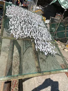 Hình ảnh chụp cảnh phơi mực ngoài trời, có thể tại một cảng cá hoặc khu vực ven biển. Hoạt động chính là phơi khô hải sản. Rất nhiều con mực tươi, màu trắng được trải đều trên một giàn phơi lớn có khung gỗ và mặt lưới màu xanh lá. Giàn phơi được đặt trên một giá đỡ. Phía sau có thể thấy một phần của một chiếc xe máy, hàng rào lưới thép và một vài người. Nền đất là bê tông, và có bóng của người chụp ảnh đổ xuống.。（日本語訳）。屋外でイカを干している光景を撮影した写真で、おそらく漁港か沿岸地域でしょう。主な活動は海産物を干すことです。たくさんの新鮮な白いイカが、木製の枠と緑色の網の面を持つ大きな干し台の上に均等に広げられています。干し台は一つの支えの上に置かれています。後ろには、バイクの一部、金網のフェンス、そして数人の人が見えます。地面はコンクリートで、撮影者の影が落ちています。