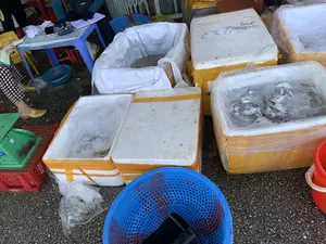 Khung cảnh tại một khu chợ hoặc điểm tập kết, buôn bán hải sản. Một người đang ngồi tại bàn nhựa màu xanh, dùng máy tính cầm tay và sổ để ghi chép, có vẻ như đang tính toán các giao dịch. Xung quanh có nhiều thùng xốp màu trắng, được dán băng keo vàng, bên trong chứa đầy đá và cá tươi để bảo quản. Một thùng mở nắp cho thấy nhiều con cá nhỏ, có thể là cá chim trắng. Ngoài ra còn có một chiếc cân đồng hồ màu xanh lá cây đặt trên sọt nhựa màu đỏ, các rổ nhựa và xô nhựa. Trên một thùng xốp có chữ viết tay "C3" và một số chữ khác không đọc được.。（日本語訳）。ある市場、または海産物の集荷・取引場所での光景。一人の人が青いプラスチックのテーブルに座り、電卓とノートを使って記録しており、取引を計算しているようだ。周りには白い発泡スチロールの箱がたくさんあり、黄色いテープで封をされ、中には保存のために氷と新鮮な魚がいっぱい入っている。蓋が開いた一つの箱には、たくさんの小さな魚が見え、おそらくマナガツオだろう。その他にも、赤いプラスチックの籠の上に置かれた緑色のアナログ秤、プラスチックのざるやバケツがある。ある発泡スチロールの箱には手書きで「C3」と書かれており、その他いくつかの読めない文字がある。