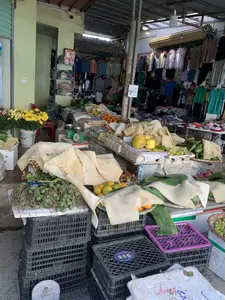 Bối cảnh là một khu chợ địa phương với các gian hàng san sát nhau dưới mái che bằng tôn. Hoạt động chính là buôn bán hàng hóa. Ở phía trước, các sạp hàng bày bán nhiều loại nông sản, bao gồm một buồng cau lớn, các loại hoa quả như cam, đu đủ, bơ, và chôm chôm. Ngoài ra còn có những tấm lớn màu trắng ngà, có thể là bì lợn, được đặt trên các sọt hàng. Một chiếc cân đĩa màu xanh lá cây được đặt trên bàn. Nhiều sọt nhựa màu đen và một chiếc màu tím được dùng để chứa hoặc kê hàng. Một xô trắng đựng đầy hoa cúc vàng. Ở phía sau là một gian hàng lớn treo rất nhiều quần áo để bán, và có một người phụ nữ đang xem hàng. Về chữ viết, có một nhãn dán màu xanh trên sọt nhựa ghi "FRESH FRUIT 555". Một tấm biển nhỏ có mã QR, có thể dùng để thanh toán, được treo trên cột. Trên một hộp xốp có chữ viết tay nhưng khó đọc rõ.。（日本語訳）。背景は、トタン屋根の下に露店が隣り合って並んでいる地元の市場です。主な活動は商品の売買です。前景では、露店が多くの種類の農産物を並べて販売しており、それには大きなビンロウの房、オレンジ、パパイヤ、アボカド、ランブータンなどの果物が含まれます。その他にも、豚の皮と思われる象牙色の大きなシート状のものが、商品かごの上に置かれています。緑色の皿秤がテーブルの上に置かれています。多くの黒いプラスチックかごと1つの紫色のものが、商品を入れたり商品を置く台として使われています。白いバケツには黄色い菊の花がいっぱい入っています。後方には、販売用にたくさんの服が掛けられている大きな露店があり、一人の女性が商品を見ています。文字については、プラスチックかごの上に「FRESH FRUIT 555」と書かれた青いステッカーがあります。支払いにも使えるであろうQRコード付きの小さな看板が、柱に掛けられています。発泡スチロールの箱の上には手書きの文字がありますが、はっきりと読むのは困難です。