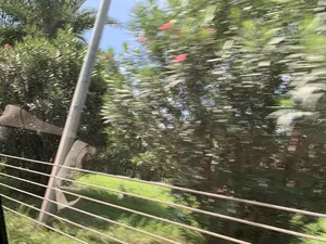 Bức ảnh được chụp từ bên trong một phương tiện đang di chuyển, có thể là ô tô hoặc xe buýt, khiến cho khung cảnh bị mờ do tốc độ. Cảnh vật bên ngoài là ven đường với nhiều cây cối xanh tươi và một số cây có hoa màu hồng. Có một cột điện ở bên trái và một bãi cỏ xanh ở phía dưới. Phía trước có các thanh ngang, có thể là lan can bảo vệ hoặc một phần của cửa sổ xe. Có một biển báo giao thông hình tròn, viền đỏ, nền trắng ở phía xa nhưng không thể đọc rõ nội dung bên trong. Hình ảnh phản chiếu của một vật thể, có thể là một phần nội thất xe, cũng hiện lên trên cửa kính.。（日本語訳）。写真は、移動中の乗り物、おそらく自動車かバスの中から撮影されたもので、速度によって風景がぼやけています。外の景色は道端で、たくさんの青々とした木々と、ピンク色の花をつけた木がいくつかあります。左側には電柱があり、下側には緑の芝生があります。前方には横棒があり、それはガードレールか、あるいは車両の窓の一部である可能性があります。遠くに、赤い縁取りと白い背景の円形の交通標識がありますが、中の内容ははっきりと読み取れません。物体の反射、おそらくは車内の一部も、窓ガラスに映っています。