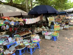 Bối cảnh là một khu chợ ngoài trời hoặc một dãy các quầy hàng ven đường, có thể ở gần một khu di tích hoặc điểm du lịch. Các quầy hàng được dựng dưới những tán cây lớn, che bằng những chiếc ô lớn màu xanh, trắng và lều bạt. Nền đất được lát gạch đỏ. Hoạt động chính là buôn bán nhiều loại mặt hàng đa dạng cho khách du lịch.。Các vật thể và hàng hóa được bày bán bao gồm:。- Đồ lưu niệm: Rất nhiều quạt giấy với màu sắc và họa tiết khác nhau được treo lên để trưng bày. Nón lá, cả loại trơn và loại được vẽ trang trí, được xếp chồng lên nhau. Ngoài ra còn có các đồ lưu niệm bằng gỗ được chạm khắc (hình con trâu, con rồng), các loại vòng tay hạt và đồ trang sức.。- Đồ chơi trẻ em: Nhiều loại đồ chơi bằng nhựa và gỗ (như con quay) được bày trong các rổ, mẹt và trên những chiếc ghế nhựa màu xanh.。- Đồ ăn và thức uống: Có các quầy bán đồ giải khát, được chứa trong các thùng xốp.。Các dòng chữ có thể đọc được trên các biển hiệu:。- Biển hiệu màu vàng quảng cáo đồ uống: "THẠCH LÁ GĂNG", "CHÈ ĐỖ ĐEN", "CHÈ".。- Biển hiệu quảng cáo nước giải khát: "NƯỚC MÍA Siêu Sạch".。- Biển hiệu nhỏ hơn quảng cáo đặc sản: "ĐẶC SẢN CHÈ LAM NGON".。- Biển chỉ dẫn chỗ đậu xe: "NƠI ĐỂ XE CỦA KHÁCH".。- Trên một chiếc ô có ghi tên và số điện thoại: "Ô XUÂN PHÚC 037 446 8676".。（日本語訳）。背景は屋外市場、または道端に並ぶ屋台で、史跡や観光地の近くにある可能性があります。屋台は大きな木々の下に設置され、青や白の大きな傘や防水シートで覆われています。地面は赤レンガで舗装されています。主な活動は、観光客向けに多種多様な商品を販売することです。販売されている物や商品には以下が含まれます：。- 土産物：様々な色や模様の紙扇子がたくさん展示のために吊るされています。ノンラー（ベトナムの伝統的な笠）は、無地のものと装飾が描かれたものの両方が積み重ねられています。その他にも、彫刻が施された木製の土産物（水牛や龍の形）、ビーズのブレスレットや宝飾品などがあります。- 子供のおもちゃ：プラスチック製や木製（コマなど）の様々なおもちゃが、かごや平たいざる、青いプラスチックの椅子の上に並べられています。- 食べ物と飲み物：清涼飲料水を売る屋台があり、商品は発泡スチロールの箱に入れられています。看板で読み取れる文字：。- 飲み物を宣伝する黄色の看板：「THẠCH LÁ GĂNG」（葉ゼリー）、「CHÈ ĐỖ ĐEN」（黒豆のチェー）、「CHÈ」（チェー）。- 清涼飲料水を宣伝する看板：「NƯỚC MÍA Siêu Sạch」（超清潔なサトウキビジュース）。- 特産品を宣伝する小さな看板：「ĐẶC SẢN CHÈ LAM NGON」（美味しい特産チェー・ラム）。- 駐車場を示す看板：「NƠI ĐỂ XE CỦA KHÁCH」（お客様の駐車スペース）。- ある傘に書かれている名前と電話番号：「Ô XUÂN PHÚC 037 446 8676」（スアン・フック傘店 037 446 8676）。