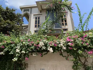 Bức ảnh chụp một ngôi nhà hoặc biệt thự nhiều tầng có kiến trúc hiện đại dưới bầu trời xanh và nắng. Ngôi nhà được sơn màu trắng ngà, có ban công với lan can kim loại. Điểm nổi bật là một giàn hoa giấy (bougainvillea) rất lớn và sum suê, mọc trùm lên bức tường phía trước và leo lên cả ban công. Hoa giấy đang nở rộ với hai màu chính là hồng và trắng. Bên trái ngôi nhà có một cây xanh cao. Trên bức tường bê tông ở phía dưới, có dòng chữ được phun sơn màu xanh, có thể đọc là 'KCBT'. Khung cảnh tĩnh lặng, không có người hay hoạt động nào được ghi lại.。（日本語訳）。青く晴れた空の下、近代的な建築様式の多層階建ての家、または別荘を写した写真です。その家はアイボリーホワイトに塗られており、金属製の手すりが付いたバルコニーがあります。特徴的なのは、非常に大きくて青々と茂ったブーゲンビリアの棚で、正面の壁を覆い、バルコニーにまで這い上がっています。ブーゲンビリアは、ピンクと白の2色を主として満開に咲いています。家の左側には、背の高い緑の木があります。下部のコンクリート壁には、青いスプレーで書かれた文字があり、「KCBT」と読めるようです。静かな光景で、人や活動の様子は写っていません。