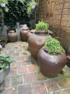 背景は、農村部か郊外にあると思われる、伝統的な建築様式が色濃く反映された家の中庭の一角です。庭の地面は古い赤レンガで敷き詰められており、何箇所か苔が生えています。一つの壁は、ソンタイ地方特有の建材であるラテライトで建てられており、木製の扉があります。もう一つの壁は、青々としたつる植物で覆われています。写真の中で際立っているのは、庭に沿って置かれた、様々な大きさの茶色の陶器の壺や甕が並んだ列です。最も大きな壺の蓋の上には、観葉植物（ポトス）の鉢が置かれ、青々とした葉が茂り、装飾のために垂れ下がっています。その他にも、オリヅルランのような吊り下げ式の観葉植物の鉢もあります。左側には、スイレンのような水生植物が植えられた石の水槽があります。奥の隅には、金属製の桶があります。静かな光景で、人の活動は見られません