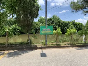 Bức ảnh chụp một khung cảnh ven đường vào một ngày nắng. Ở trung tâm, có một tấm biển màu xanh lá cây được gắn trên cột điện bê tông. Nội dung trên biển báo như sau:。HỘI NÔNG DÂN THỊ XÃ SƠN TÂY。CÔNG TRÌNH。HÀNG CÂY NÔNG DÂN。CHÀO MỪNG ĐẠI HỘI MẶT TRẬN TỔ QUỐC THỊ XÃ SƠN TÂY NHIỆM KỲ 2024 - 2029。70 NĂM NGÀY GIẢI PHÓNG THỊ XÃ SƠN TÂY (03/8/1954-03/8/2024)。70 NĂM GIẢI PHÓNG THỦ ĐÔ (10/10/1954 -10/10/2024)。Địa điểm là một con đường ven hồ hoặc một đoạn sông ở Thị xã Sơn Tây. Hoạt động được ghi nhận là kết quả của một dự án trồng cây; dọc theo bờ hồ là những cây non mới trồng, được chống đỡ bằng cọc tre. Đây là 'Công trình Hàng cây Nông dân' do Hội Nông dân Thị xã Sơn Tây thực hiện. Phía sau hàng cây là một hồ nước tĩnh lặng, và bờ bên kia có nhiều cây cối rậm rạp. Bầu trời trong xanh, có mây trắng. Phía trước là mặt đường nhựa có bóng của cột điện và biển báo đổ xuống.。（日本語訳）。写真は晴れた日の道端の風景を写したものです。中央には、コンクリートの電柱に取り付けられた緑色の看板があります。看板の内容は以下の通りです。ソンタイ市社農民協会。事業。農民の並木。ソンタイ市社祖国戦線大会 2024年～2029年任期を歓迎。ソンタイ市社解放70周年（1954年8月3日～2024年8月3日）。首都解放70周年（1954年10月10日～2024年10月10日）。場所はソンタイ市社の湖畔の道、または川沿いの一区画です。記録されている活動は植樹プロジェクトの成果です。湖畔に沿って、竹の杭で支えられた、新しく植えられた若木が並んでいます。これはソンタイ市社農民協会が実施した「農民の並木事業」です。並木の後ろには静かな湖があり、対岸には木々が鬱蒼と茂っています。空は青く澄み渡り、白い雲が浮かんでいます。手前にはアスファルトの路面があり、電柱と看板の影が落ちています。