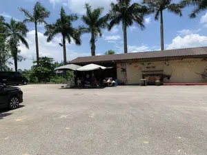 Bối cảnh là một bãi đậu xe rộng rãi phía trước một cửa hàng ven đường dưới trời nắng. Phía sau bãi đậu xe là một tòa nhà một tầng, mái ngói, có một quán nước nhỏ được che bằng ô ở phía trước. Có một vài người, trong đó có người đội nón lá, đang ngồi tại quán. Một chiếc xe máy màu đỏ đậu gần đó. Trên tường của tòa nhà có các vật trang trí như đầu trâu và một chiếc rương gỗ lớn. Có nhiều biển hiệu có thể đọc được: một quầy nhỏ ghi 'NƯỚC MÍA Siêu Sạch', một tấm biển gỗ ghi 'SOUVENIR GIFT', một tấm áp phích 'OCOP', và một tấm biển khác ghi 'ĐƯỜNG LÂM LÀNG CỔ NHẤT VIỆT NAM' kèm theo chữ Nhật. Nhiều chiếc nón lá được bày bán. Khung cảnh cho thấy đây là một điểm dừng chân, có thể dành cho khách du lịch, bán đồ giải khát và quà lưu niệm. Phía xa bên trái có một chiếc ô tô màu đen đang đỗ, và nhiều cây cọ cao mọc thẳng tắp.。（日本語訳）。背景は、晴天の下、道端の店の前にある広々とした駐車場です。駐車場の後ろには、瓦屋根の一階建ての建物があり、その手前にはパラソルで覆われた小さな飲み物屋があります。ノンラーをかぶった人を含む数人が、その店で座っています。近くに赤いバイクが一台停まっています。建物の壁には、水牛の頭や大きな木製の櫃などの装飾品があります。読み取れる看板が多数あります。「NƯỚC MÍA Siêu Sạch」と書かれた小さな屋台、「SOUVENIR GIFT」と書かれた木製の看板、「OCOP」のポスター、そして日本語が添えられた「ĐƯỜNG LÂM LÀNG CỔ NHẤT VIỆT NAM」と書かれた別の看板です。たくさんのノンラーが販売のために陳列されています。この光景は、ここが飲み物やお土産を販売する、おそらく観光客向けの休憩所であることを示しています。左奥には黒い車が一台停まっており、たくさんの背の高いヤシの木がまっすぐに生えています。