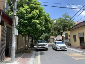 Quang cảnh một con phố vào một ngày nắng với bầu trời xanh. Con đường được trải nhựa, hai bên là vỉa hè và những ngôi nhà. Dọc theo con đường có nhiều cây xanh tươi tốt. Một chiếc ô tô SUV màu trắng đang đỗ ở lề đường bên trái. Một chiếc ô tô nhỏ hơn màu trắng đang di chuyển trên đường. Ở phía trước bên trái là một cột điện bê tông với nhiều dây điện chằng chịt và có dán các tờ quảng cáo, trong đó một tờ có thể đọc được chữ "VAY TIỀN TRẢ GÓP 0328.20...". Ở phía xa hơn một chút, có một biển báo giao thông hình tam giác nền vàng, viền đỏ, ghi chữ "ĐI CHẬM". Bên phải là một ngôi nhà cũ sơn màu vàng, mái ngói, có cửa sổ chớp bằng gỗ.。（日本語訳）。青空が広がる晴れた日の街の風景。道路は舗装されており、両側には歩道と家々が並んでいる。道沿いには青々とした木々がたくさんある。左側の路肩には白いSUV車が1台駐車している。より小型の白い車が1台、道路を走行している。左手前にはコンクリートの電柱があり、たくさんの電線が張り巡らされ、広告が貼られている。そのうちの1枚には「VAY TIỀN TRẢ GÓP 0328.20...」（分割払いローン 0328.20...）という文字が読み取れる。少し奥には、黄色い背景に赤い縁取りの三角形の交通標識があり、「ĐI CHẬM」（徐行）と書かれている。右側には、黄色に塗られた古い家があり、瓦屋根で、木製のよろい戸の窓がある。