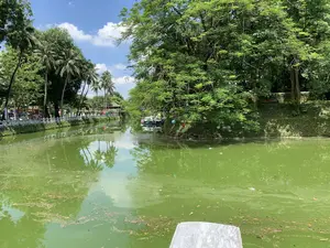 Đây là khung cảnh một con hào nước, có khả năng là hào bao quanh Thành cổ Sơn Tây. Mặt nước có màu xanh lục do tảo, phản chiếu bóng cây cối và bầu trời xanh có mây trắng. Dọc hai bên bờ là rất nhiều cây xanh, bao gồm cả cây dừa và cây phượng vĩ. Bên bờ phải, một vài chiếc thuyền du lịch đang neo đậu, và trên một cành cây lớn có treo những chiếc đèn lồng trang trí nhiều màu sắc. Bờ bên trái là một con đường có lan can bê tông, phía sau có thể thấy các phương tiện và nhà cửa. Ở phía xa có một cây cầu và một dãy cờ trang trí bắc ngang qua con hào. Khung cảnh yên tĩnh dưới trời nắng.。（日本語訳）。これは堀の光景で、ソンタイ古城を囲む堀である可能性があります。水面は藻のために緑色をしており、木々の影と白い雲のある青空を反射しています。両岸には、ヤシの木やホウオウボクなど、たくさんの緑の木々が植えられています。右岸には、数隻の観光船が停泊しており、大きな木の枝には色とりどりの装飾的な提灯が吊るされています。左岸はコンクリートの手すりがある道で、その後ろには車両や家々が見えます。遠くには橋があり、一列の装飾的な旗が堀を横切って架かっています。晴れた空の下の静かな光景です。