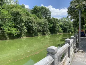 Bức ảnh chụp một con hào nước bao quanh một khu vực có nhiều cây cối rậm rạp, có khả năng là hào của một di tích lịch sử như Thành cổ Sơn Tây. Mặt nước có màu xanh lục do tảo phát triển. Ở phía trước, có một lan can bằng đá với các họa tiết trang trí, chạy dọc theo một lối đi bộ lát gạch. Bờ bên kia của con hào được bao phủ bởi cây xanh um tùm, bao gồm cả cây phượng đang nở hoa đỏ, và có thể thấy một phần của bức tường thành được cây leo che phủ. Bầu trời trong xanh, có vài gợn mây trắng. Bên phải lối đi có một cột đèn đường. Khung cảnh yên tĩnh và thanh bình vào một ngày nắng đẹp. Không có chữ viết nào có thể đọc được trong ảnh.。（日本語訳）。写真は、緑豊かな木々が生い茂るエリアを囲む堀を写しており、おそらくソンタイ（山西）古城のような史跡の堀でしょう。水面は藻の発生により緑色をしています。手前には、装飾的な模様が施された石の手すりがあり、それはレンガ敷きの遊歩道に沿って続いています。堀の対岸は青々とした木々に覆われており、赤い花を咲かせているホウオウボクも含まれ、ツタ植物に覆われた城壁の一部が見えます。空は青く澄み渡り、白い雲がいくつか浮かんでいます。遊歩道の右側には街灯があります。晴れた日の静かで穏やかな光景です。写真の中には読み取れる文字はありません。