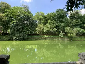 Không có thông tin văn bản nào trong ảnh. Bức ảnh ghi lại một khung cảnh thiên nhiên yên bình tại một di tích lịch sử, có khả năng là hào nước của một thành cổ. Trung tâm của bức ảnh là một con hào rộng với mặt nước màu xanh lục, phẳng lặng, in bóng những hàng cây xanh và bầu trời. Bờ bên kia của con hào là một dải đất cỏ, phía sau là một bức tường cổ, thấp, có thể được xây bằng đá ong. Phía trên và sau bức tường là rất nhiều cây cổ thụ lớn, tán lá xum xuê, tạo nên một không gian xanh mát. Bầu trời trong xanh với vài đám mây trắng. Ở góc dưới của ảnh có thể thấy một phần lan can bằng đá, cho thấy góc chụp từ trên một cây cầu hoặc một lối đi bộ. Không có hoạt động nào của con người diễn ra, chỉ có cảnh vật tĩnh lặng.。（日本語訳）。写真にはテキスト情報はありません。この写真は、歴史的遺跡の穏やかな自然の風景を捉えており、おそらく古い城の堀だと思われます。写真の中心には、緑色の水面が広がる広い堀があり、その穏やかな水面には緑の木々の列と空が映り込んでいます。堀の向こう岸には草地が広がり、その後ろにはラテライトで造られたと思われる低く古い壁があります。壁の上と後ろには、葉が青々と茂る大きな古木がたくさんあり、涼しげな緑の空間を作り出しています。空は青く澄み渡り、白い雲がいくつか浮かんでいます。写真の下隅には石造りの手すりの一部が見え、橋の上か遊歩道から撮影された角度であることがわかります。人間の活動は見られず、静かな風景だけが広がっています。
