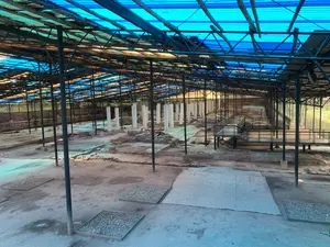 Hình ảnh chụp một khu di tích khảo cổ học rộng lớn, có khả năng là khu khai quật tại Hoàng thành Thăng Long. Toàn bộ khu vực được bảo vệ bởi một hệ thống mái che lớn có kết cấu khung kim loại và lợp bằng các tấm nhựa màu xanh lam. Bên dưới mái che là hiện trường khai quật, để lộ ra các nền móng, chân cột và di tích kiến trúc cổ bằng gạch và đá. Nhiều cột trụ màu trắng được dựng lên, có thể để đánh dấu vị trí các cột nguyên bản của công trình xưa. Một số khu vực được phủ bạt màu trắng hoặc xanh để bảo vệ. Một lối đi bộ bằng kim loại được xây dựng trên cao, có lan can, cho phép khách tham quan quan sát khu di tích. Phía xa bên phải có một hồ nước. Khung cảnh cho thấy một công trường khảo cổ đang trong quá trình bảo tồn và trưng bày cho công chúng.。（日本語訳）。広大な考古学遺跡を撮影した写真で、タンロン皇城の発掘区域である可能性が高い。全域が、金属フレーム構造で青いプラスチック板で覆われた大きな屋根システムによって保護されている。屋根の下には発掘現場があり、レンガや石でできた基礎、柱の土台、古代の建築遺跡が露出している。多くの白い柱が建てられており、おそらく昔の建造物の元の柱の位置を示すためであろう。いくつかのエリアは保護のために白または青のシートで覆われている。手すりの付いた金属製の通路が高所に建設されており、見学者が遺跡を観察できるようになっている。右手奥には池がある。この光景は、考古学現場が保存され、一般公開される過程にあることを示している。