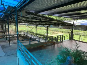 Bức ảnh chụp một không gian rộng lớn có mái che, dường như là một khu di tích khảo cổ học. Mái che được làm bằng tôn, một phần có màu xanh dương và phần còn lại màu xám, được nâng đỡ bởi một hệ thống khung thép kiên cố. Bên dưới mái che là các lối đi và cầu bộ hành bằng kim loại cho phép quan sát khu vực phía dưới. Một phần của khu vực này là một địa điểm khai quật, để lộ ra các nền móng và cấu trúc cổ. Bên cạnh khu di tích là một hồ nước nhỏ trồng sen và các loại cây thủy sinh khác. Trên một khu vực có sàn lát gạch màu nâu, có những chiếc ghế gỗ dài được đặt để nghỉ chân. Một chậu cây cảnh được đặt ở gần lan can. Không có người trong ảnh, khung cảnh rất yên tĩnh.。（日本語訳）。写真は、屋根のある広大な空間を写しており、考古学的な遺跡のようです。屋根はトタンでできており、一部は青色、残りは灰色で、頑丈な鉄骨フレームのシステムによって支えられています。屋根の下には、下方のエリアを観察できる金属製の通路や歩道橋があります。このエリアの一部は発掘現場であり、古代の基礎や構造物が露出しています。遺跡の隣には、蓮やその他の水生植物が植えられた小さな池があります。茶色のタイルが敷かれたエリアには、休憩用に長い木製のベンチが置かれています。手すりの近くに観葉植物の鉢が置かれています。写真には人がおらず、景色はとても静かです。