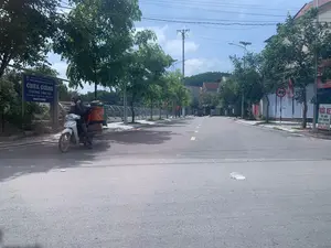 Bối cảnh là một con đường nhựa tại một khu dân cư ở Việt Nam vào một ngày nắng. Hai bên đường có cây xanh, cột điện và đèn đường. Ở phía bên trái, một người giao hàng đang ngồi trên một chiếc xe máy màu trắng, chở một túi giao hàng lớn màu cam có logo 'SPX' và các thùng carton. Người này đang dừng xe bên lề đường và dường như đang nghe điện thoại. Con đường khá vắng vẻ. Có một số biển báo có thể đọc được: một biển chỉ dẫn màu xanh lam ghi 'BỘ VĂN HÓA THỂ THAO VÀ DU LỊCH', 'DI TÍCH LỊCH SỬ VĂN HÓA CẤP QUỐC GIA', 'CHÙA GIÁNG (TƯỜNG VÂN TỰ)', 'THỊ TRẤN VĨNH LỘC, HUYỆN VĨNH LỘC, TỈNH THANH HÓA', '150m'. Ở phía bên phải, có một biển báo giao thông cấm xe trên 2.5 tấn và một biển hiệu 'RỬA XE Ô TÔ XE MÁY BẰNG BỌT TUYẾT HÚT BỤI - THAY DẦU'. Một lá cờ Phật giáo cũng được nhìn thấy. Phía xa là các ngôi nhà và một ngọn đồi.。（日本語訳）。背景は、晴れた日のベトナムのある住宅街のアスファルト道路です。道路の両側には緑の木々、電柱、街灯があります。左側には、配達員が白いバイクに乗り、「SPX」のロゴが入った大きなオレンジ色の配達バッグと段ボール箱を積んでいます。この人は道端にバイクを停め、電話をしているようです。道路はかなり閑散としています。いくつかの読み取れる看板があります。青い案内標識には「文化・スポーツ・観光省」、「国家級歴史文化遺跡」、「ザン寺（トゥオンヴァン寺）」、「タインホア省ヴィンロック県ヴィンロック町」、「150m」と書かれています。右側には、2.5トン以上の車両を禁止する交通標識と、「泡雪洗車 自動車・バイク 掃除機 - オイル交換」という看板があります。仏教の旗も見えます。遠くには家々と丘が見えます。