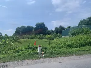 Bức ảnh chụp một khung cảnh nông thôn ven đường vào một ngày nắng. Ở tiền cảnh là một phần của con đường nhựa và lề đường đất sỏi. Bên vệ đường có một cột mốc bê tông sơn trắng và đỏ, bên cạnh có một lá cờ đuôi nheo nhỏ màu đỏ và một số đồ vật trông giống như đồ cúng hoặc một miếu thờ nhỏ. Phía sau cột mốc là một khu đất trồng trọt với cây cỏ mọc um tùm, bao gồm nhiều cây chuối và một thửa ruộng. Ở phía bên phải, có một công trình lớn với tường bằng tôn màu xanh lá cây. Phía sau cùng là những lùm cây rậm rạp dưới bầu trời xanh và có mây.。（日本語訳）。晴れた日の道端の田園風景を写した写真です。前景には、アスファルトの道路の一部と砂利の路肩があります。キロポストの後ろには、草木が生い茂る農地があり、多くのバナナの木と一つの畑が含まれています。右側には、緑色のトタンの壁を持つ大きな建物があります。一番奥には、青く雲のある空の下に、鬱蒼とした木々の茂みがあります。