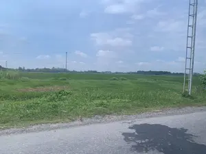 Đây là một khung cảnh nông thôn với một cánh đồng lúa xanh rộng lớn. Ở phía trước là một con đường nhựa, trên đó có một vũng nước tối màu. Bên lề đường, cỏ dại mọc um tùm. Có nhiều cột điện và đường dây điện chạy ngang qua cánh đồng. Một cột điện bằng kim loại nằm ở phía bên phải của bức ảnh, trên đó có chữ viết nhưng không thể đọc rõ. Phía xa là những hàng cây. Bầu trời trong xanh với những đám mây trắng. Không có hoạt động nào của con người được ghi nhận trong ảnh.。（日本語訳）。これは広大な緑の田んぼが広がる田園風景です。手前にはアスファルトの道があり、その上には黒っぽい水たまりがあります。道端には雑草が生い茂っています。多くの電柱と電線が田んぼを横切っています。写真の右側には金属製の電柱があり、そこには文字が書かれていますが、はっきりと読むことはできません。遠くには木々の列があります。空は青く澄んでおり、白い雲が浮かんでいます。写真には人間の活動は見られません。